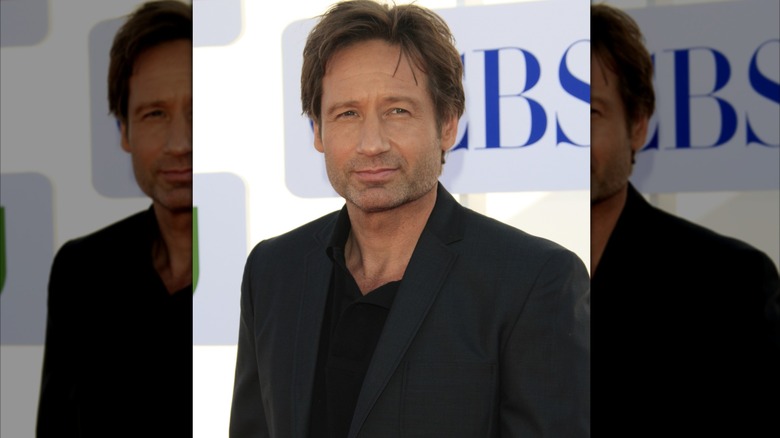 David Duchovny poses on the red carpet