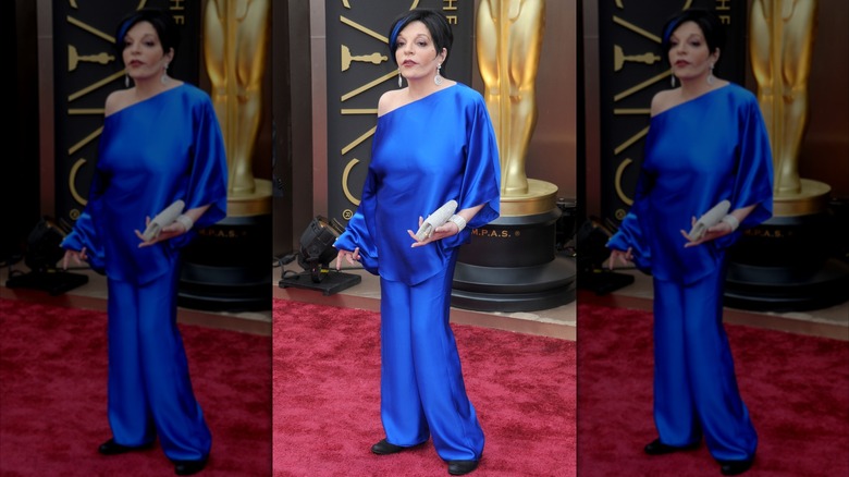 Liza Minnelli waking the red carpet at the 2014 Oscars