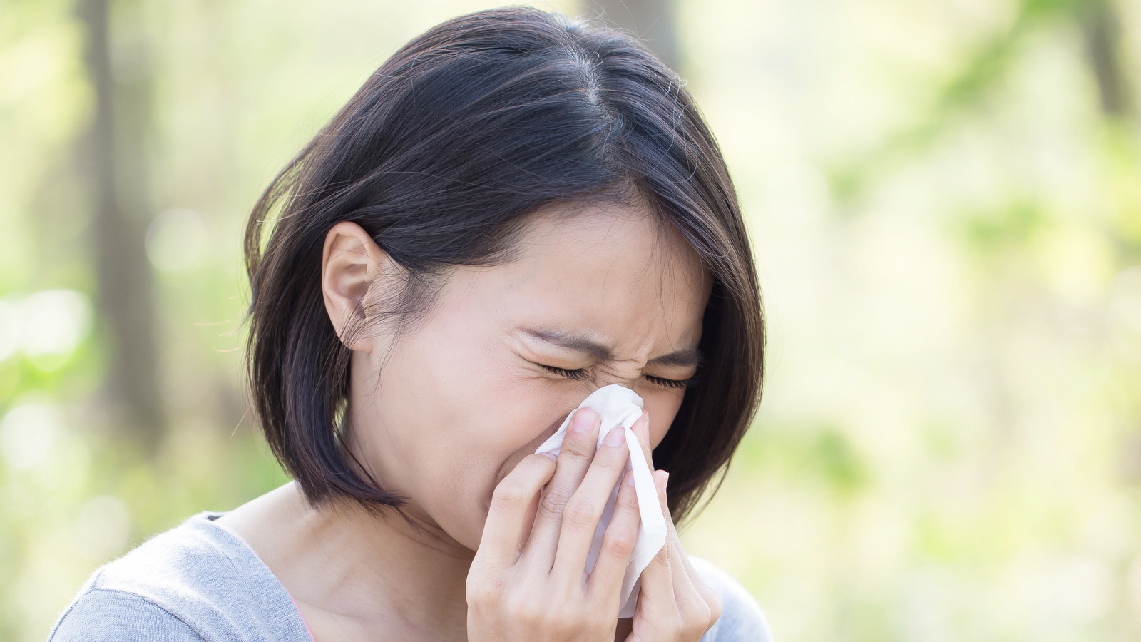 Xyzal Vs. Zyrtec Which Allergy Medication Is Better?