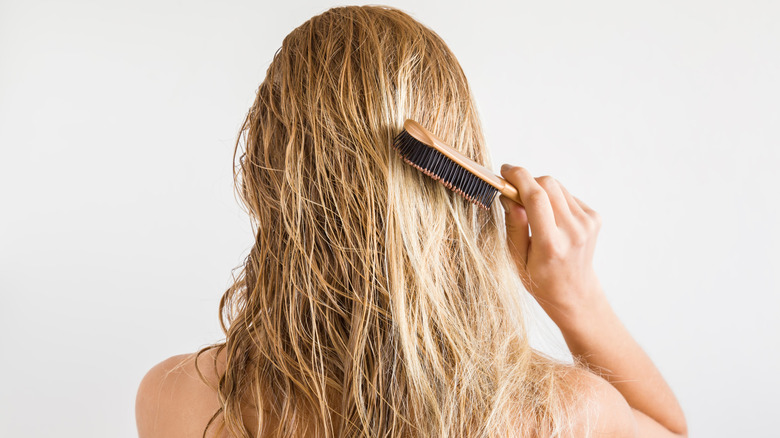You Might Want To Rethink Brushing Your Hair When It's Dry. Here's Why