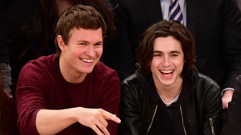 Timothée Chalamet and Ansel Elgort watching a basketball game