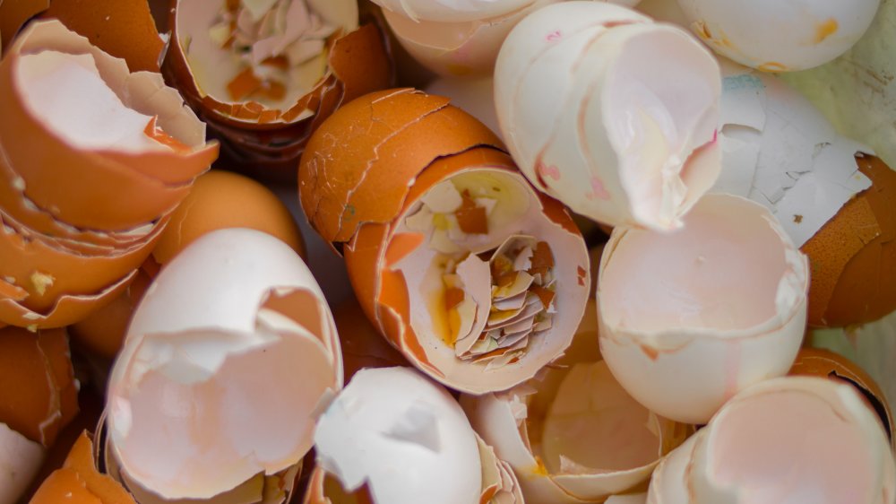 Eggshells