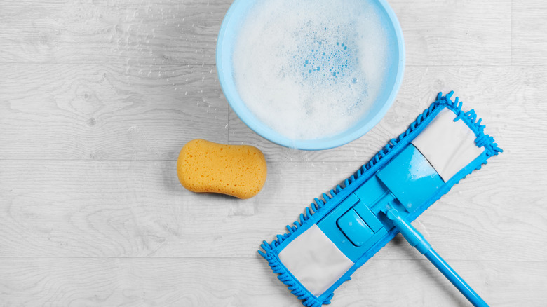 Mop with a bucket