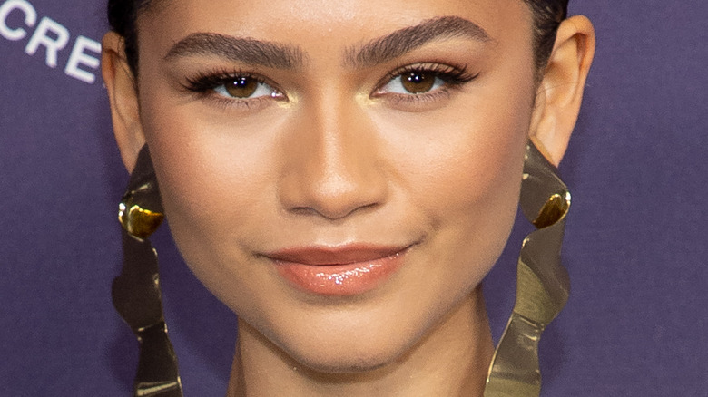 Zendaya's Brunette Hair Color That Fans Envy