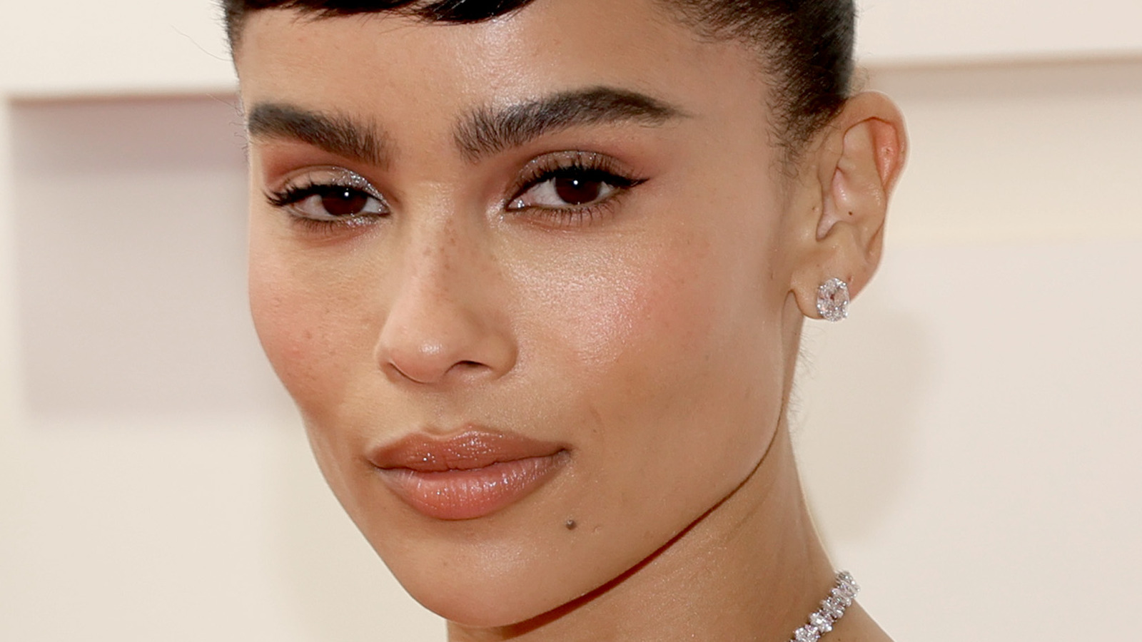 Zoë Kravitz's Sly Remark About The Oscars Has Fans Reeling