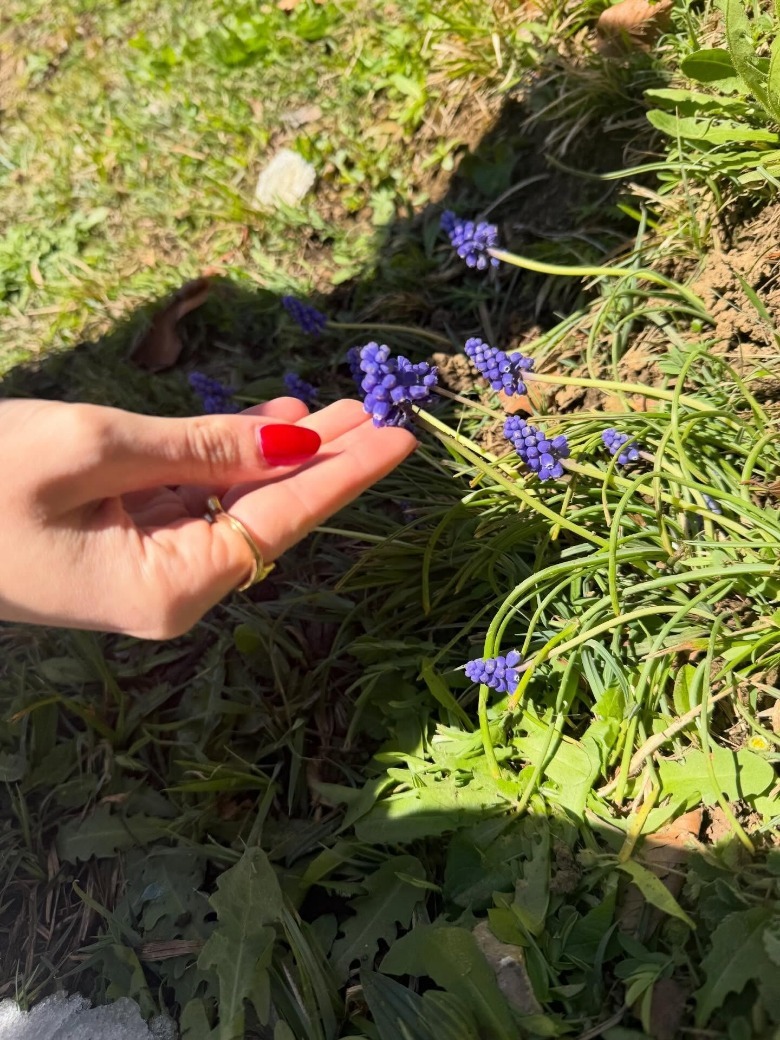 A manicured hand reaches for a purple flower (2026)