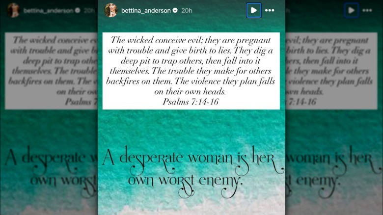 Bettina Anderson's Instagram stories post